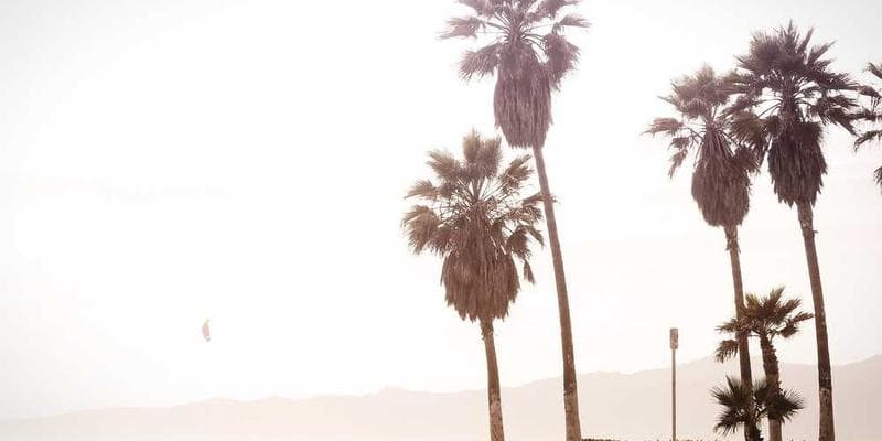 HIPAA Security Rule Deep Dive: Mandatory Breach Reporting Timelines for 2026