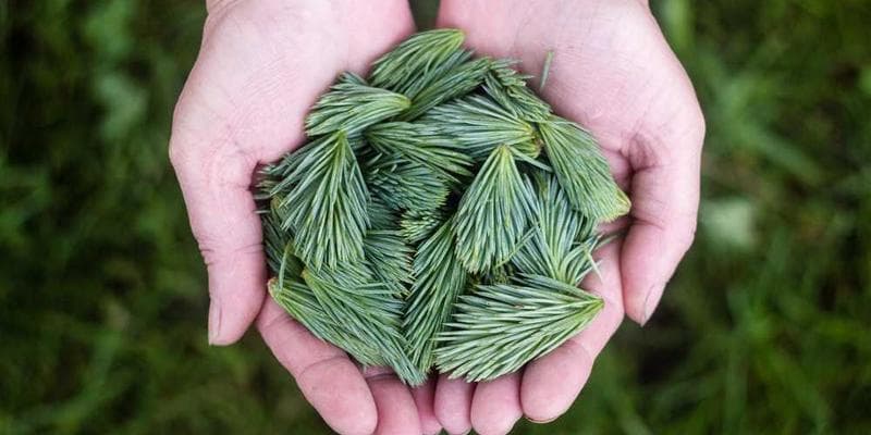 Telehealth Billing 2026: New Place of Service (POS) Codes and Modifiers